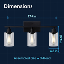 Wall Sconce Lighting with Clear Glass Shade