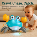 Crawling Crab Baby Toy with Music and LED Lights by LJGDeals