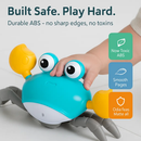 Crawling Crab Baby Toy with Music and LED Lights by LJGDeals