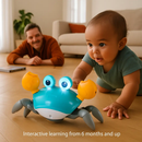 Crawling Crab Baby Toy with Music and LED Lights by LJGDeals