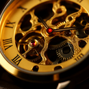 Gold Dial Skeleton Mechanical Watch – Hand-winding Leather by LJGDeals