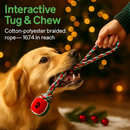 Christmas Dog Rope Chew Toys Set for Puppies and Dogs by LJGDeals