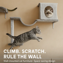 Cat Wall Shelves Perch Climber Set with Cat Houses & Hammock by LJGDeals