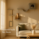 Cat Wall Shelves Perch Climber Set with Cat Houses & Hammock by LJGDeals