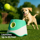 Automatic Dog Ball Launcher with 6 Balls by LJGDeals