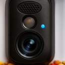 Smart Bird Feeder with Solar Powered Camera by LJGDeals