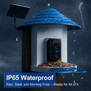 Smart Bird Feeder with Solar Powered Camera by LJGDeals