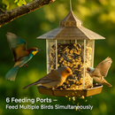 Hanging Gazebo Wild Bird Feeder in Garden, Patio, Yard by LJGDeals
