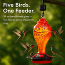 Hummingbird Feeder with 5 Ports, Ant Moat & Rope by LJGDeals