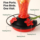 Hummingbird Feeder with 5 Ports, Ant Moat & Rope by LJGDeals