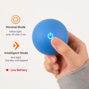 Motion Activated Interactive Cat Toy Ball for Indoor Cats by LJGDeals