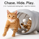 Indoor Cat Tunnel Bed with Hanging Ball — 2-in-1 Fun by LJGDeals