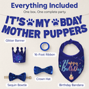 Dog Birthday Bandana Hat Set for Cute Pet Party by LJGDeals
