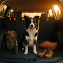 Dog Car Seat Cover for Back Seat - Waterproof Oxford Hammock by LJGDeals