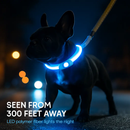 USB Rechargeable LED Dog Collar – Multi-Color Lighting by LJGDeals