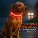 USB Rechargeable LED Dog Collar – Multi-Color Lighting by LJGDeals
