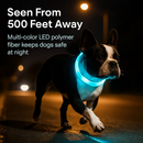 USB Rechargeable LED Dog Collar – Multi-Color Lighting by LJGDeals