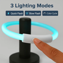 USB Rechargeable LED Dog Collar – Multi-Color Lighting by LJGDeals