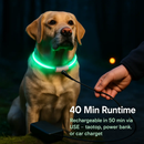 USB Rechargeable LED Dog Collar – Multi-Color Lighting by LJGDeals
