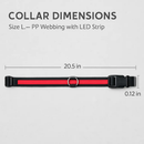 LED Dog Collar: Safety Light for Night Walks by LJGDeals