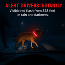 LED Dog Collar: Safety Light for Night Walks by LJGDeals