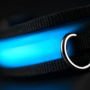 LED Dog Collar: Safety Light for Night Walks by LJGDeals