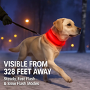 LED Dog Collar: Safety Light for Night Walks by LJGDeals