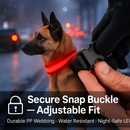 LED Dog Collar: Safety Light for Night Walks by LJGDeals