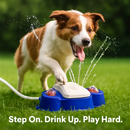 Dog Water Fountain for Pets – Self-Serve Drinking Water by LJGDeals