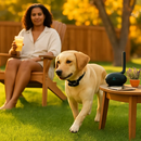 Wireless Electric Dog Fence System and Training Collar by LJGDeals