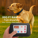 Radius Dog Training Collar with Wireless Fence by LJGDeals