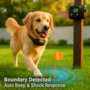 Dog Fence System for Small to Large Dogs by LJGDeals