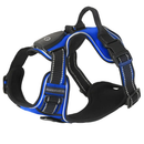 Light Up Dog Harness with Rechargeable LED Lights and Handle by LJGDeals