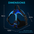 Light Up Dog Harness with Rechargeable LED Lights and Handle by LJGDeals