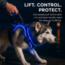 Light Up Dog Harness with Rechargeable LED Lights and Handle by LJGDeals