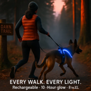 Light Up Dog Harness with Rechargeable LED Lights and Handle by LJGDeals
