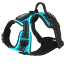 Light Up Dog Harness with Rechargeable LED Lights and Handle by LJGDeals