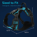 Light Up Dog Harness with Rechargeable LED Lights and Handle by LJGDeals
