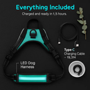 Light Up Dog Harness with Rechargeable LED Lights and Handle by LJGDeals