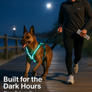 Light Up Dog Harness with Rechargeable LED Lights and Handle by LJGDeals