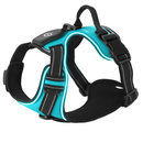 Light Up Dog Harness with Rechargeable LED Lights and Handle by LJGDeals