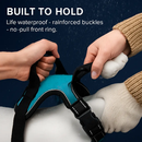 Light Up Dog Harness with Rechargeable LED Lights and Handle by LJGDeals