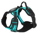Light Up Dog Harness with Rechargeable LED Lights and Handle by LJGDeals