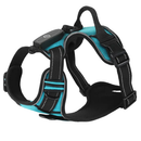Light Up Dog Harness with Rechargeable LED Lights and Handle by LJGDeals