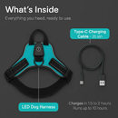 Light Up Dog Harness with Rechargeable LED Lights and Handle by LJGDeals