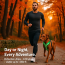 Light Up Dog Harness with Rechargeable LED Lights and Handle by LJGDeals