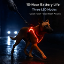 Light Up Dog Harness with Rechargeable LED Lights and Handle by LJGDeals