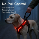 Light Up Dog Harness with Rechargeable LED Lights and Handle by LJGDeals