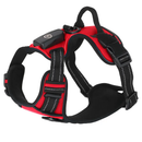 Light Up Dog Harness with Rechargeable LED Lights and Handle by LJGDeals