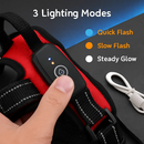 Light Up Dog Harness with Rechargeable LED Lights and Handle by LJGDeals